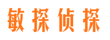 鼎湖市私家侦探